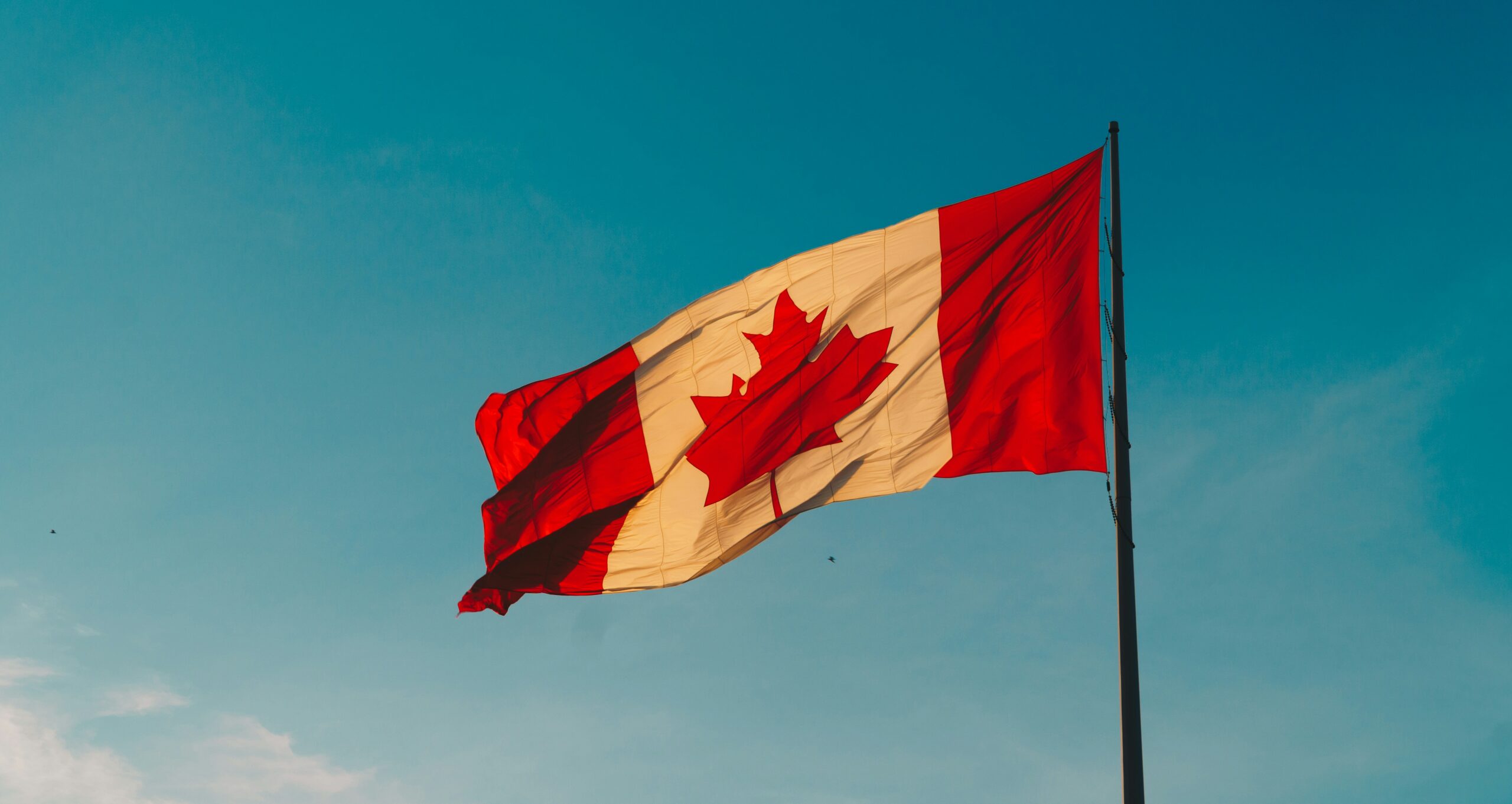 Suicide in Canada, What the Latest Numbers Tell Us About Men